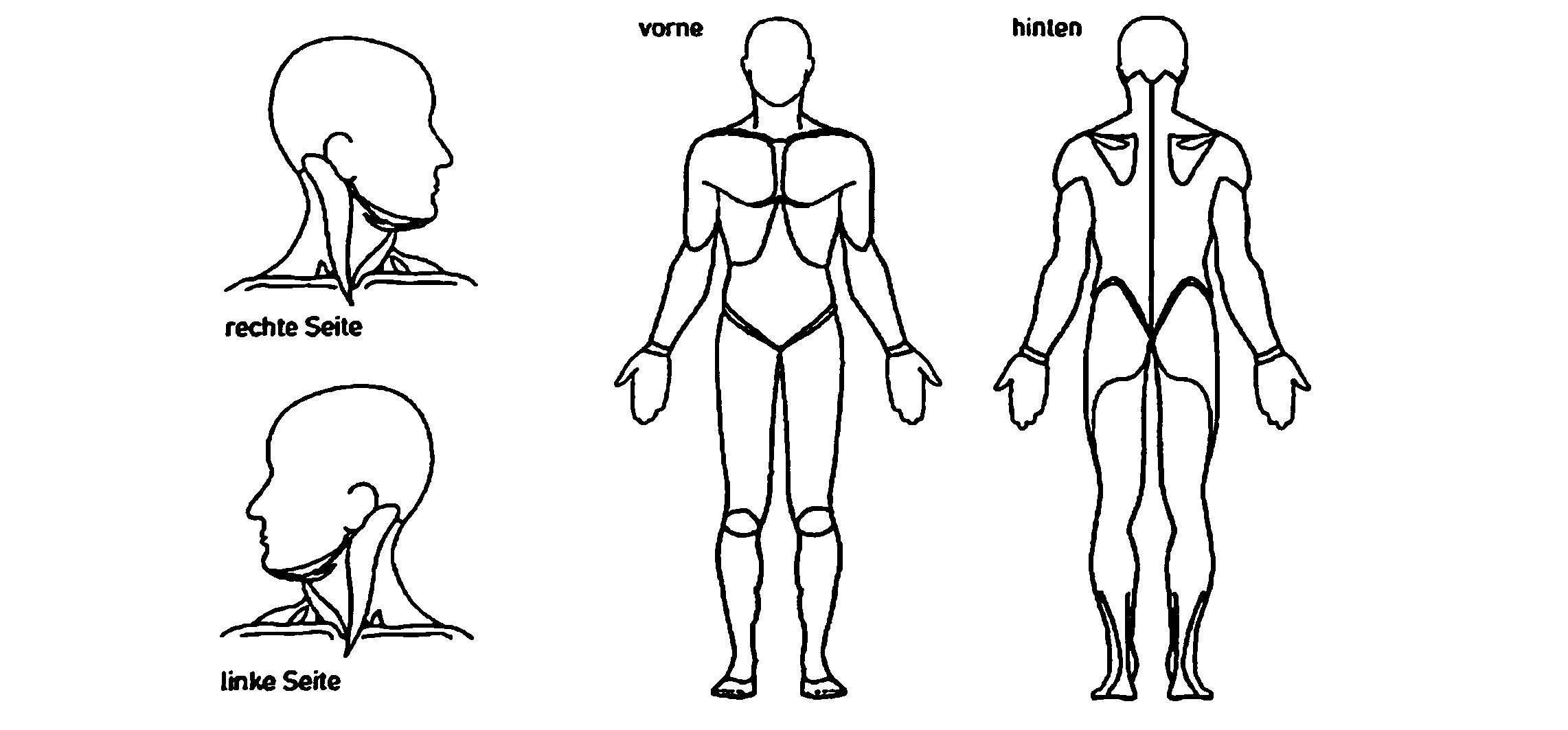 Körperschema